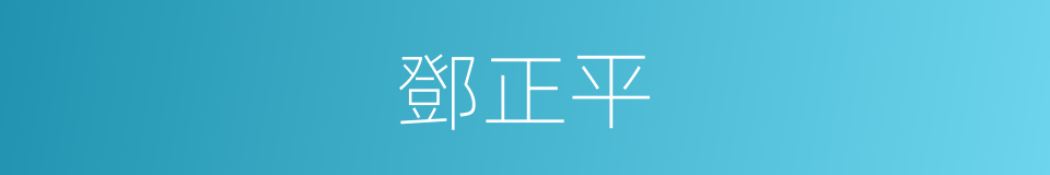 鄧正平的同義詞