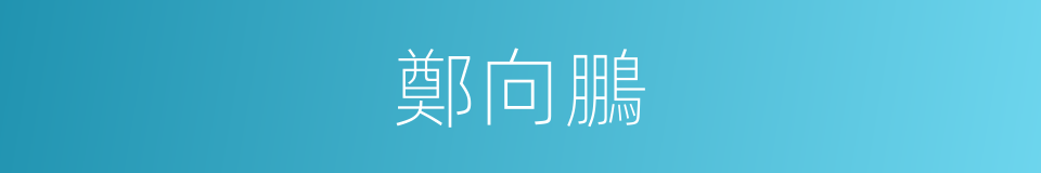 鄭向鵬的同義詞