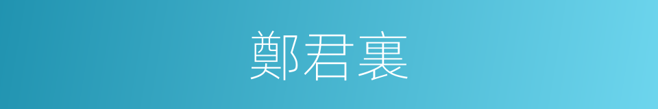 鄭君裏的意思