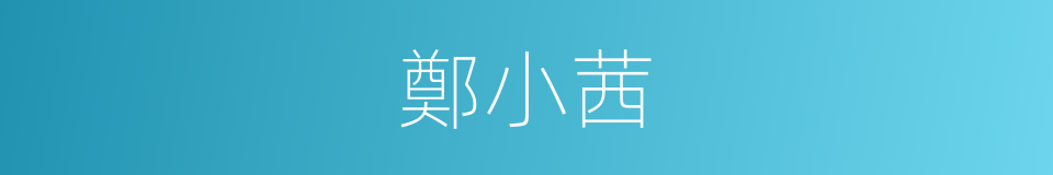鄭小茜的同義詞