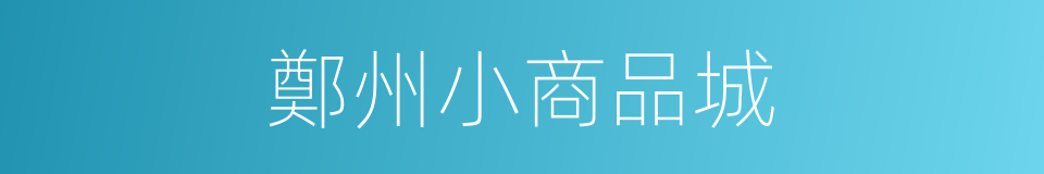 鄭州小商品城的同義詞