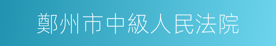 鄭州市中級人民法院的同義詞