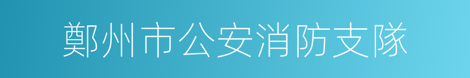 鄭州市公安消防支隊的同義詞