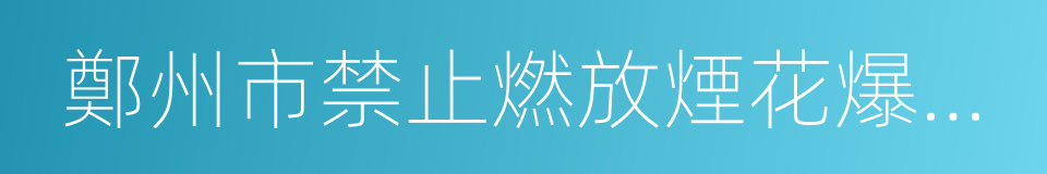 鄭州市禁止燃放煙花爆竹規定的同義詞