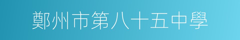 鄭州市第八十五中學的同義詞