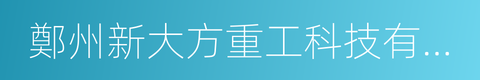 鄭州新大方重工科技有限公司的同義詞