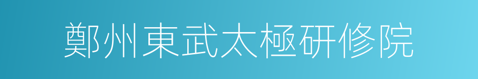 鄭州東武太極研修院的同義詞