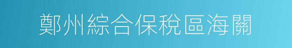 鄭州綜合保稅區海關的同義詞