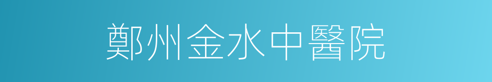 鄭州金水中醫院的同義詞