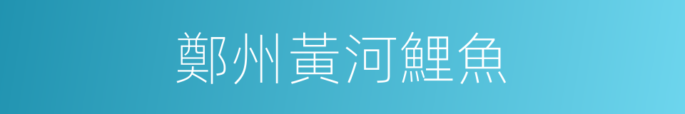 鄭州黃河鯉魚的同義詞