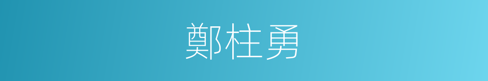 鄭柱勇的同義詞