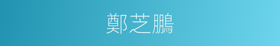 鄭芝鵬的同義詞