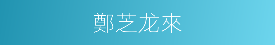 鄭芝龙來的同義詞