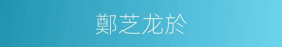 鄭芝龙於的同義詞