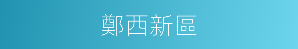 鄭西新區的同義詞