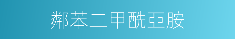 鄰苯二甲酰亞胺的同義詞