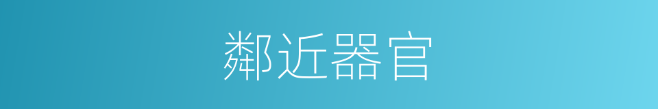 鄰近器官的同義詞