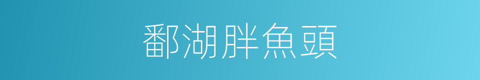 鄱湖胖魚頭的同義詞