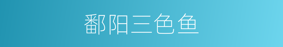 鄱阳三色鱼的同义词