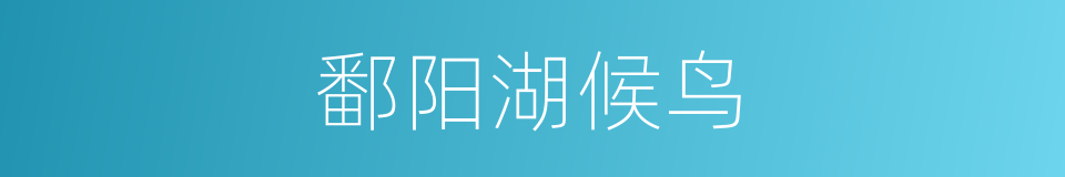 鄱阳湖候鸟的同义词
