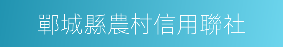 鄲城縣農村信用聯社的同義詞