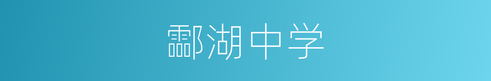 酃湖中学的同义词