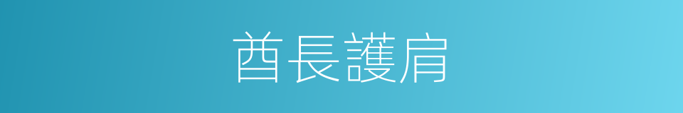 酋長護肩的同義詞