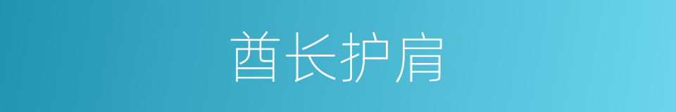 酋长护肩的同义词