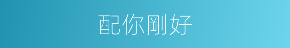 配你剛好的同義詞