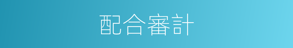 配合審計的同義詞