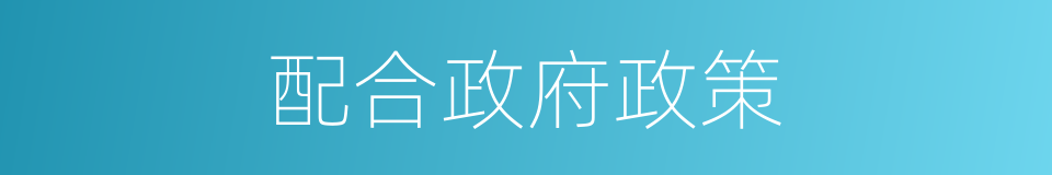 配合政府政策的同义词