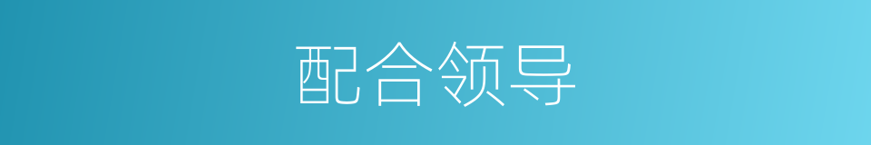 配合领导的同义词