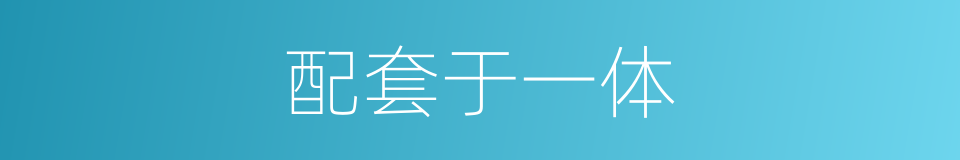 配套于一体的同义词
