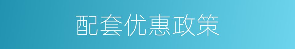 配套优惠政策的同义词