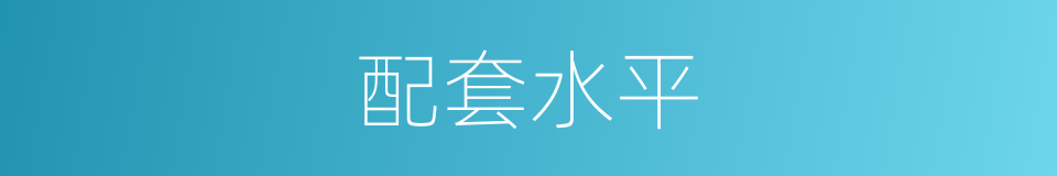 配套水平的同义词