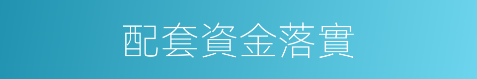 配套資金落實的同義詞