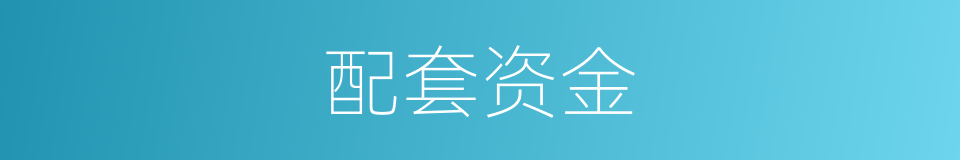 配套资金的同义词