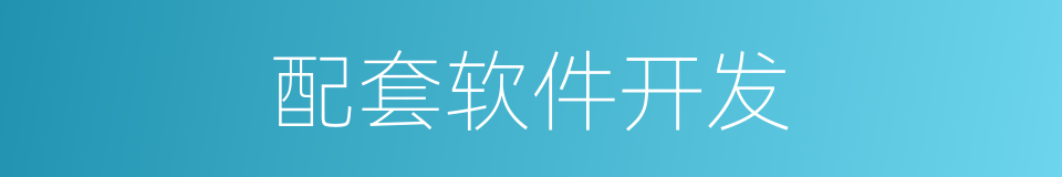 配套软件开发的同义词