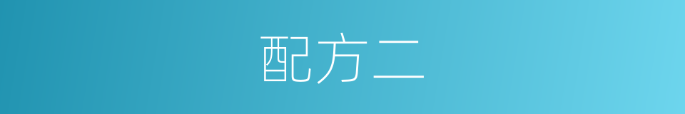 配方二的同义词