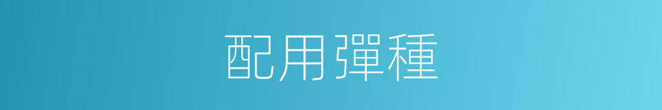 配用彈種的同義詞