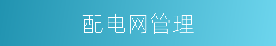 配电网管理的同义词
