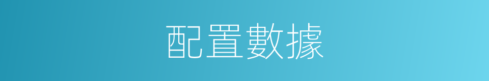 配置數據的同義詞