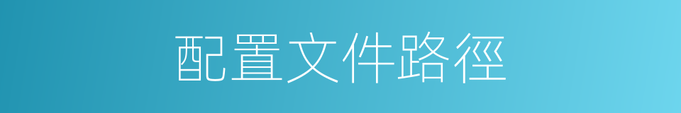 配置文件路徑的同義詞