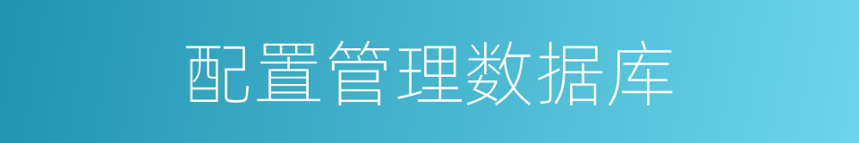 配置管理数据库的同义词