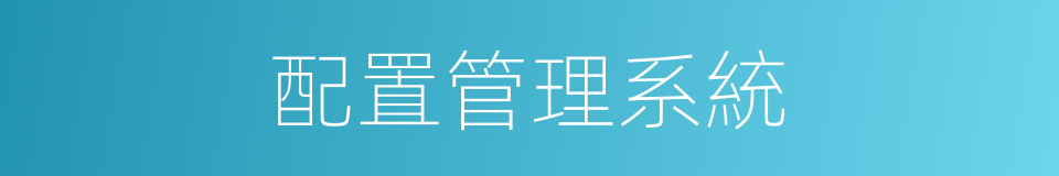 配置管理系統的同義詞