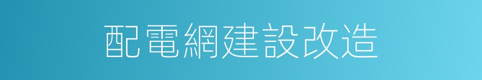 配電網建設改造的同義詞