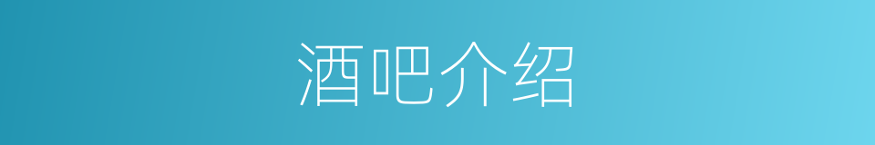 酒吧介绍的同义词
