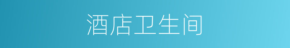 酒店卫生间的同义词