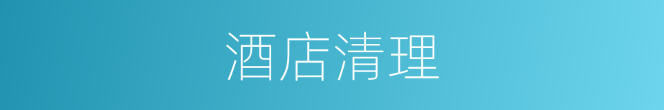 酒店清理的同义词