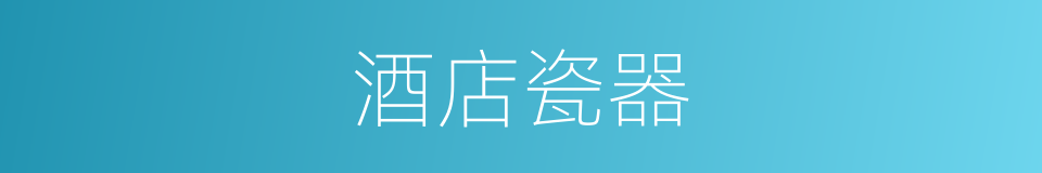 酒店瓷器的同义词